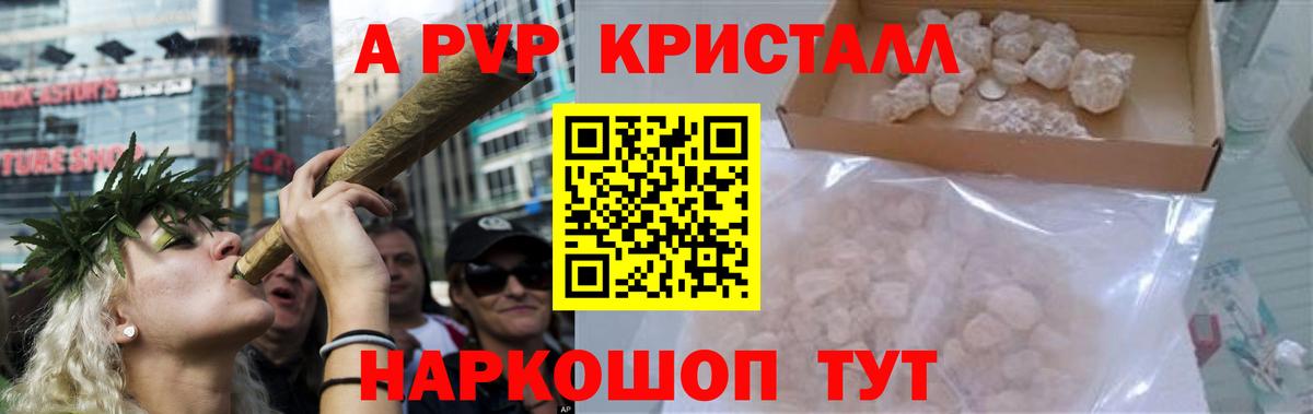 Альфа ПВП СК КРИС Тамбов