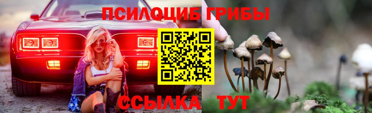 Псилоцибиновые грибы прущие грибы Тамбов